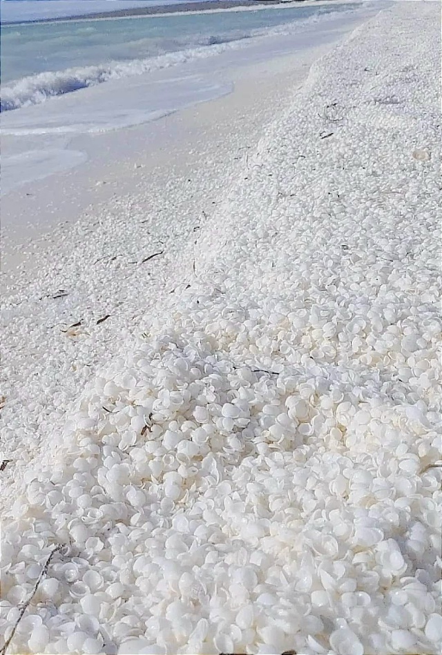 Ҡабырсаҡтарҙан торған пляж да бар