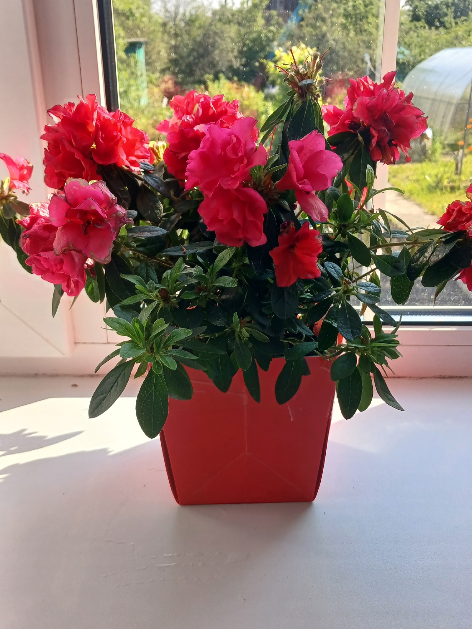 Гөлдәрең үлеп барһа...