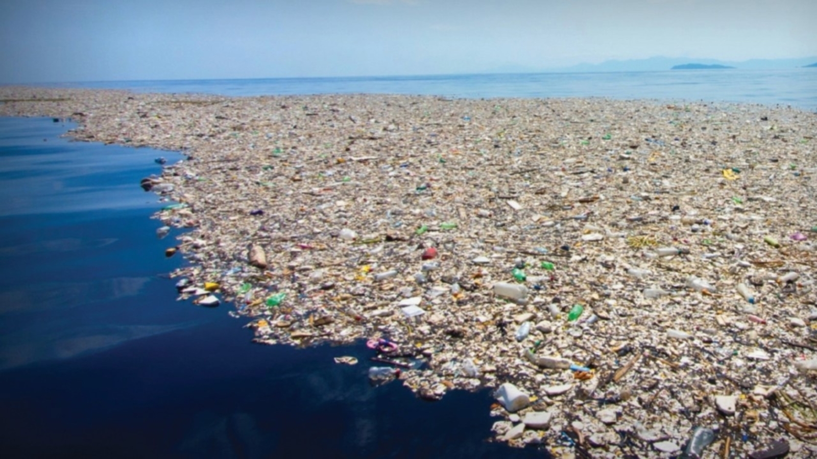 Һеҙ пластик һауыт, пакет ҡулланырға яратаһығыҙмы?